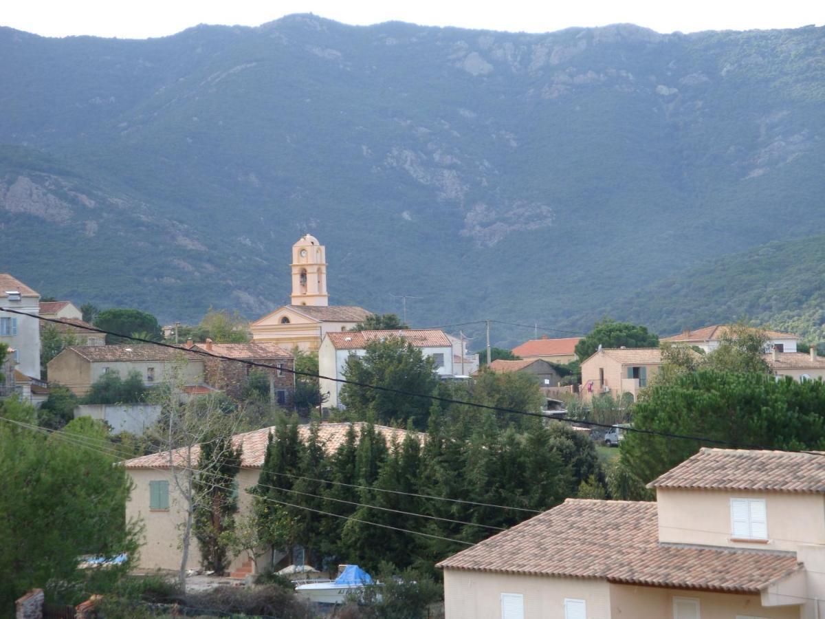 Fior Di Macchia *
