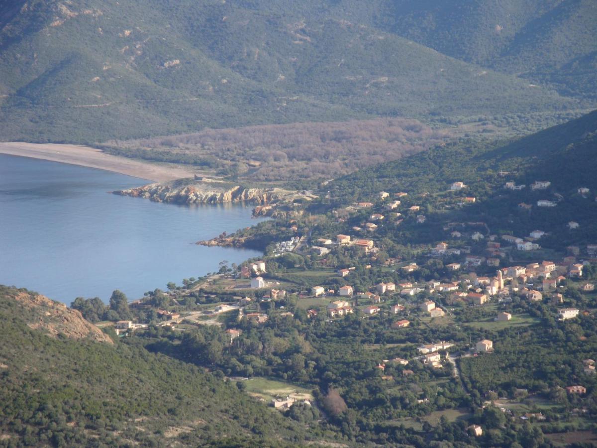 Fior Di Macchia