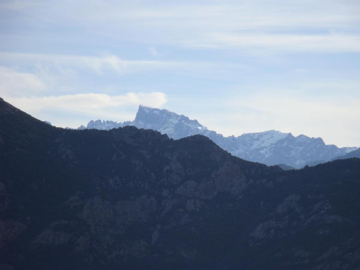 Fior Di Macchia